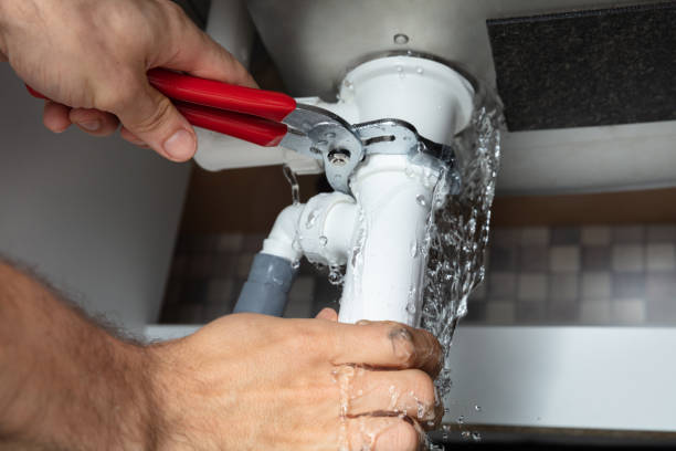 Best Water damage mitigation services  in Hopkins, SC
