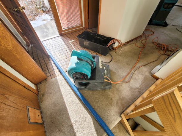 Best Flood damage cleanup  in Hopkins, SC