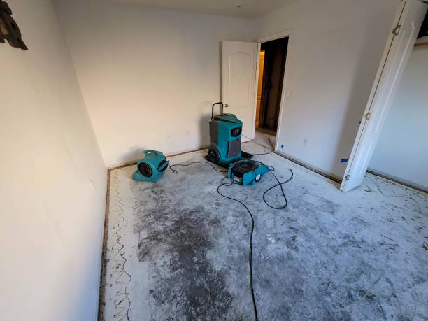 Best Carpet water damage restoration  in Hopkins, SC