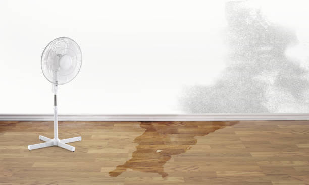 Best 24-hour water damage restoration  in Hopkins, SC