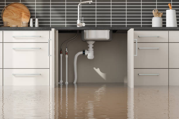 Best Flooded house restoration  in Hopkins, SC